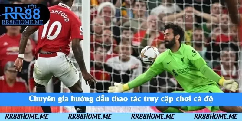 Chuyên gia hướng dẫn thao tác truy cập chơi cá độ