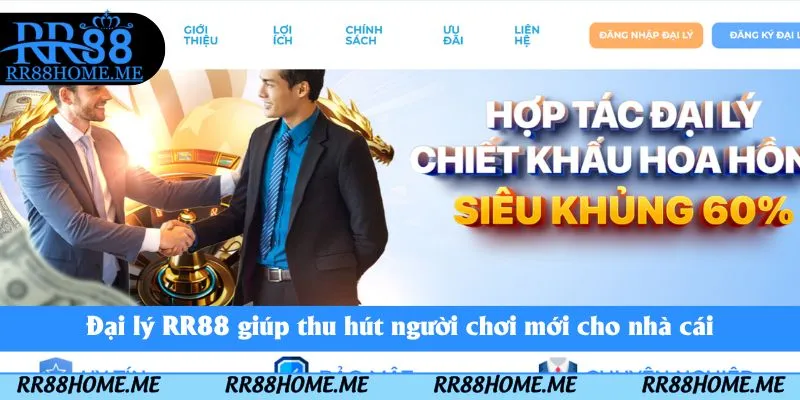 Đại lý RR88 giúp thu hút người chơi mới cho nhà cái