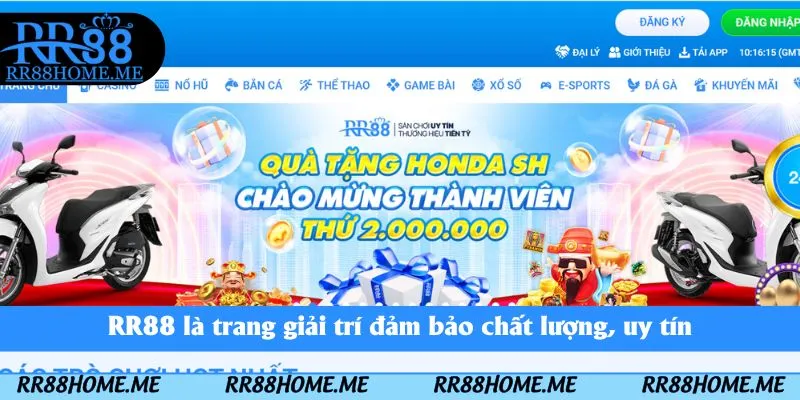RR88 là trang giải trí đảm bảo chất lượng, uy tín