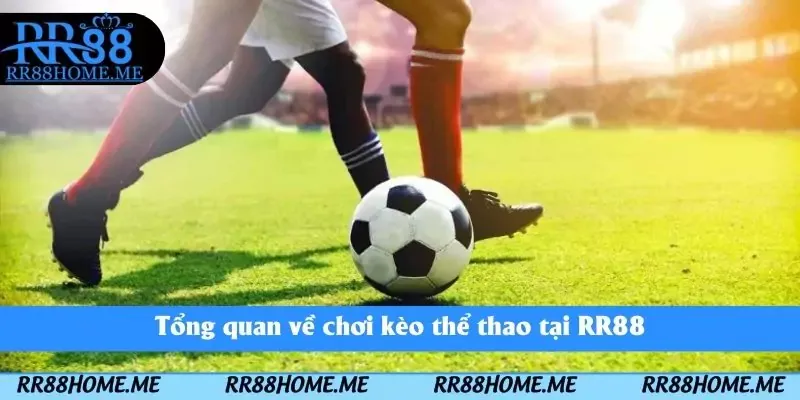 Tổng quan về chơi kèo thể thao tại RR88