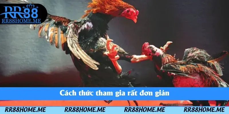 Cách thức tham gia rất đơn giản