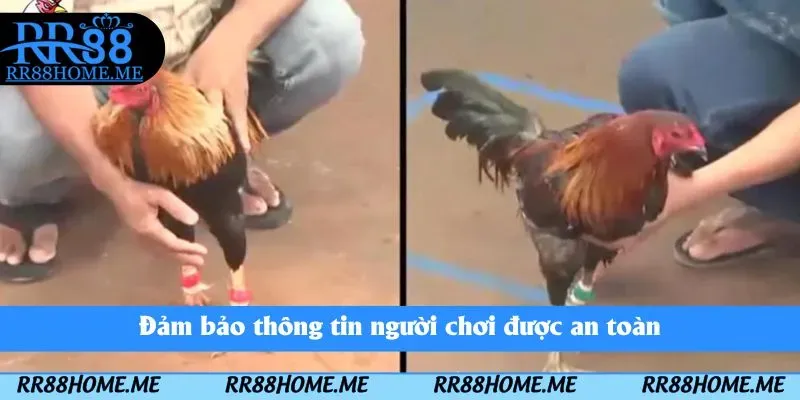 Đảm bảo thông tin người chơi được an toàn