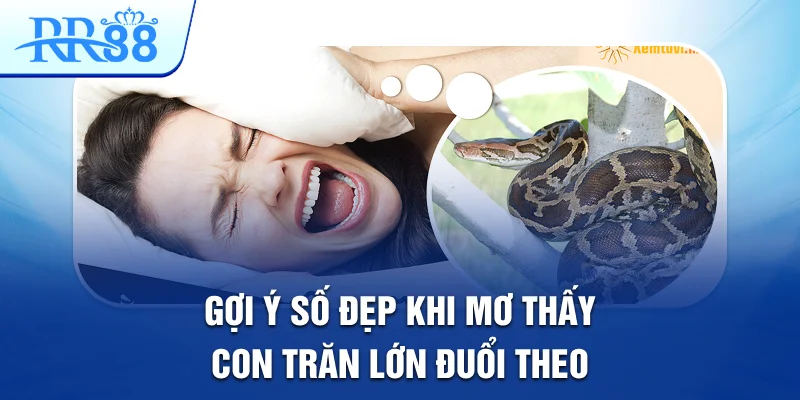 Gợi ý số đẹp khi mơ thấy con trăn lớn đuổi theo