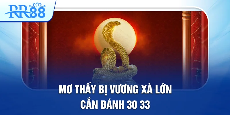 Mơ thấy bị vương xà lớn cắn đánh: 30, 33