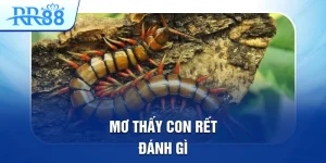 mơ thấy con rết đánh gì
