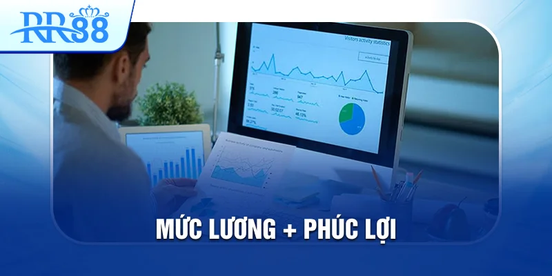 mức lương seo rr88