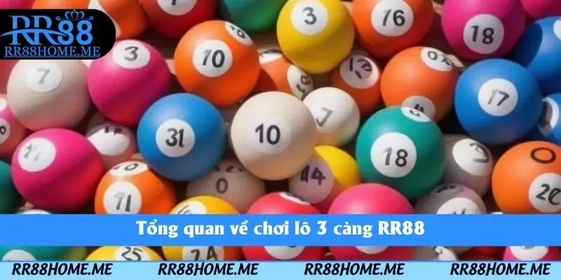 Tổng quan về chơi lô 3 càng RR88
