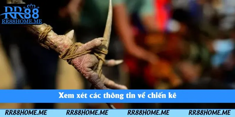 Xem xét các thông tin về chiến kê